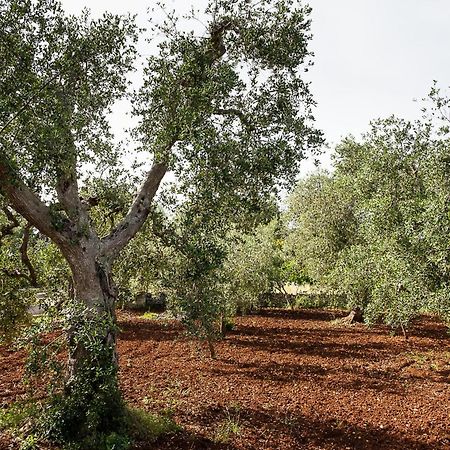 Villetta Da Zio Marcello Ostuni Bagian luar foto