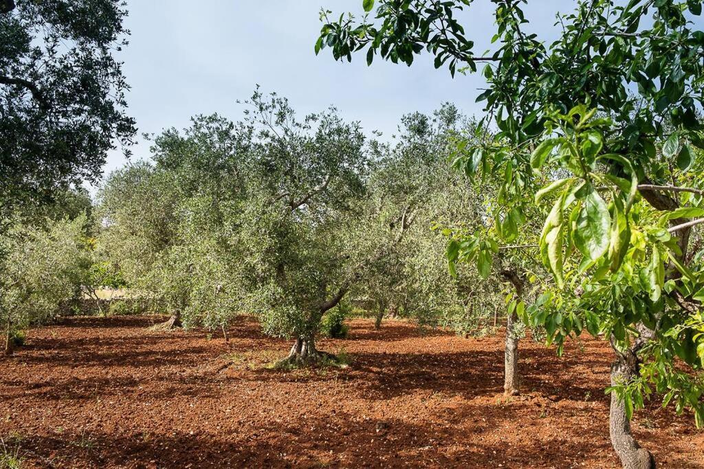 Villetta Da Zio Marcello Ostuni Bagian luar foto